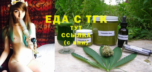 индика Бердск