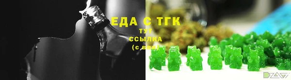 индика Бердск