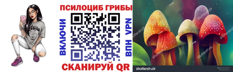Псилоцибиновые грибы MAGIC MUSHROOMS  кракен ссылки  сайты даркнета формула  Гаврилов Посад 