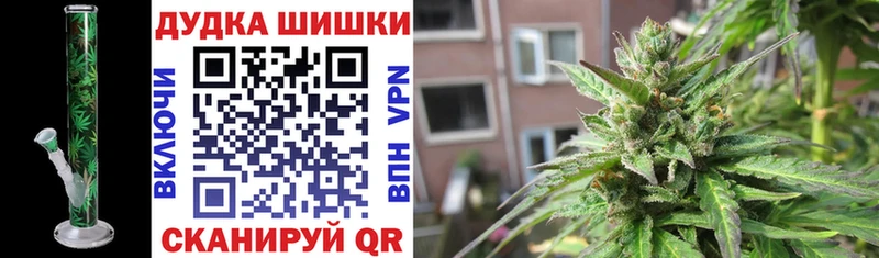 Шишки марихуана сатива  Гаврилов Посад 